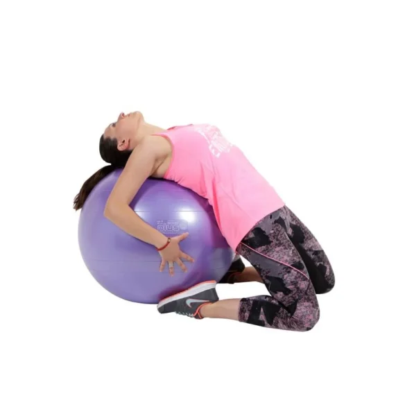 1212-gymnic_plus_vijolina_2.webp 1212-gymnic_plus_vijolina_2.webp